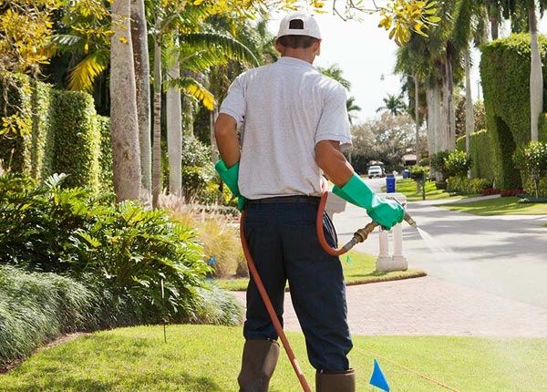 About Canal Winchester OH Pest Control Pros